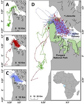 Informing Marine Protected Area Designation and Management for Nesting Olive Ridley Sea Turtles Using Satellite Tracking